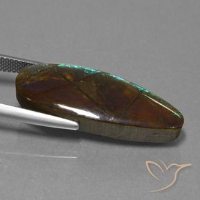 Ammolite Gemstone in 30.2 x 11.8 mm Size for Sale, Ammolite Stone in Multicolor Color