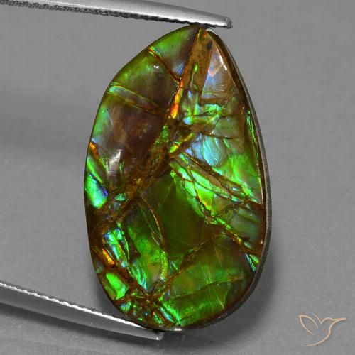 18.19ct Natural Multicolor Ammolite, Fancy, Opaque
