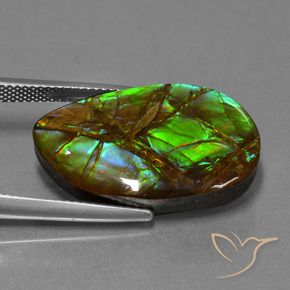 18.19 ct Multicolor Ammolite Stone, Natural Ammolite in Fancy Cabochon Shape for Sale