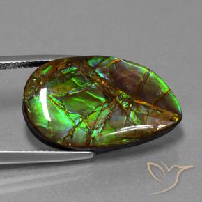 Ammolite Gemstone in 24.4 x 14.7 mm Size for Sale, Ammolite Stone in Multicolor Color