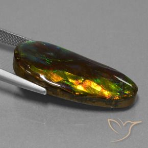 Ammolite Gemstone in 30.7 x 14.9 mm Size for Sale, Ammolite Stone in Multicolor Color