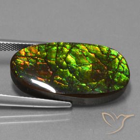 21.50 ct Multicolor Ammolite Stone, Natural Ammolite in Fancy Cabochon Shape for Sale