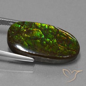 Ammolite Gemstone in 26.6 x 14.4 mm Size for Sale, Ammolite Stone in Multicolor Color