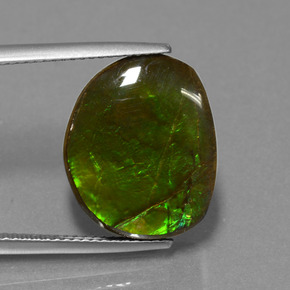 10.58 ct Multicolor Ammolite Gemstone, Ammolite Gem in Fancy Cabochon Shape for Sale.