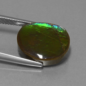 10.58 ct Multicolor Ammolite Stone, Natural Ammolite in Fancy Cabochon Shape for Sale