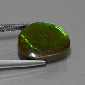 Ammolite Gemstone in 17.1 x 14 mm Size for Sale, Ammolite Stone in Multicolor Color