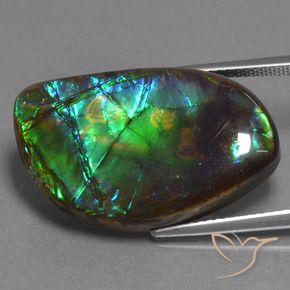 17.95 ct Multicolor Ammolite Stone, Natural Ammolite in Fancy Cabochon Shape for Sale