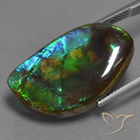 Ammolite Gemstone in 26.2 x 15.7 mm Size for Sale, Ammolite Stone in Multicolor Color