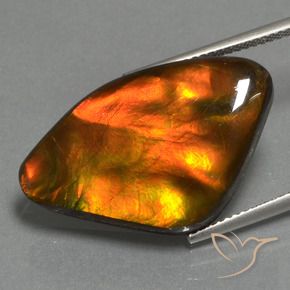 17.24 ct Multicolor Ammolite Stone, Natural Ammolite in Fancy Cabochon Shape for Sale