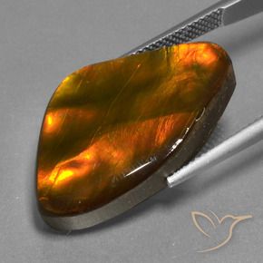 Ammolite Gemstone in 26.1 x 16.2 mm Size for Sale, Ammolite Stone in Multicolor Color