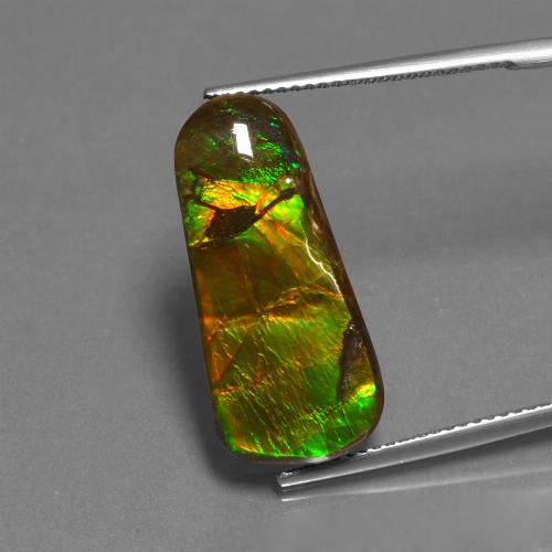 Multicolor Ammolite Gem - 11.7ct Fancy Cabochon (ID: 452729)