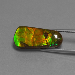 11.73 ct Multicolor Ammolite Stone, Natural Ammolite in Fancy Cabochon Shape for Sale