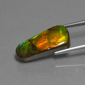 Ammolite Gemstone in 23 x 10.4 mm Size for Sale, Ammolite Stone in Multicolor Color