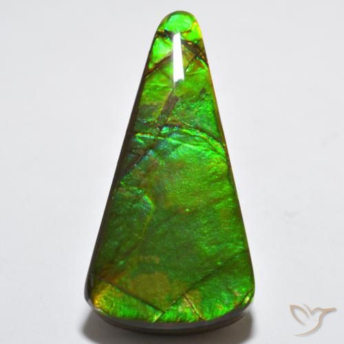 15.83ct Natural Multicolor Ammolite, Trillion, Opaque