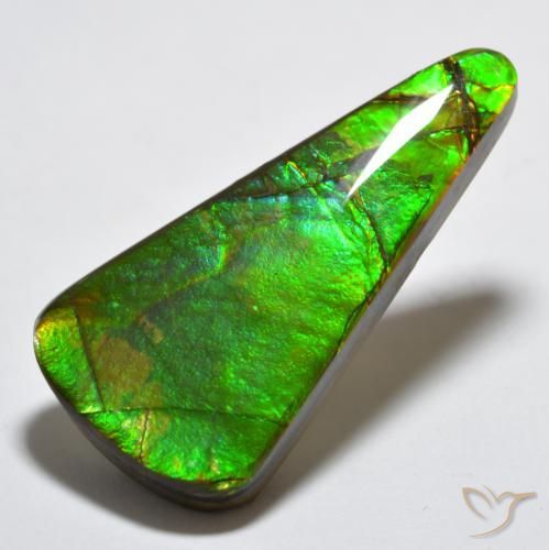 15.83 ct Multicolor Ammolite Stone, Natural Ammolite in Trillion Cabochon Shape for Sale