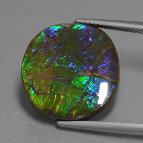 16.73 ct Multicolor Ammolite Gemstone, Ammolite Gem in Oval Cabochon Shape for Sale.