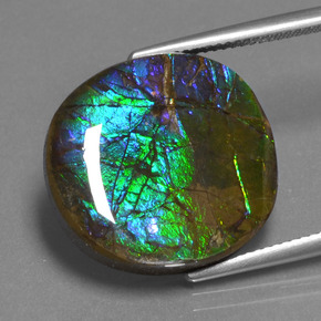 16.73 ct Multicolor Ammolite Stone, Natural Ammolite in Oval Cabochon Shape for Sale