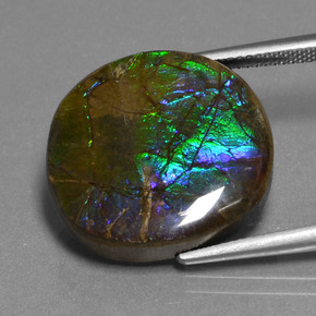 Ammolite Gemstone in 20.2 x 18.9 mm Size for Sale, Ammolite Stone in Multicolor Color