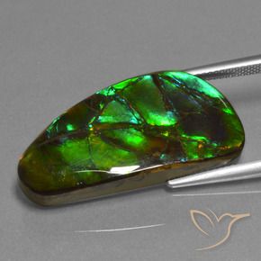 23.45 ct Multicolor Ammolite Stone, Natural Ammolite in Fancy Cabochon Shape for Sale