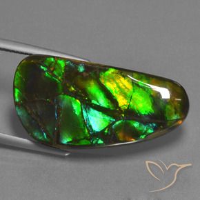 Ammolite Gemstone in 30.1 x 15.3 mm Size for Sale, Ammolite Stone in Multicolor Color