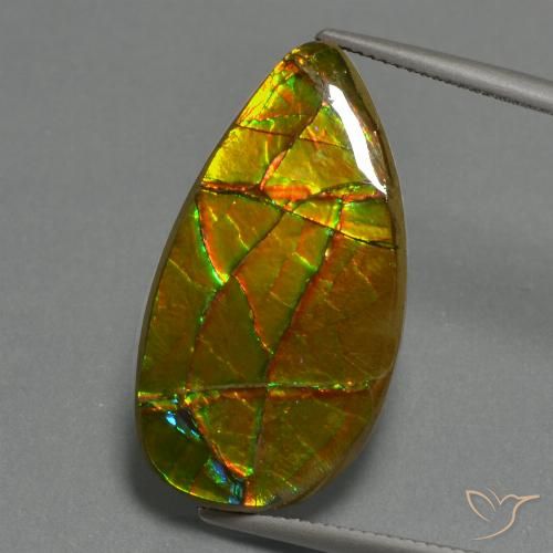 28,6 x 15,4mm mehrfarbiger Ammolith im Freiform-Cabochon Schliff aus Kanada, Gewicht 19,4 ct, Garantiert echter Edelstein in Opaque Reinheit, 1 Stück Ammolith - die Farbe ist Mehrfarbig, Mohs-Härte von 4, Photo A