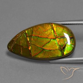 19.40 ct Multicolor Ammolite Stone, Natural Ammolite in Fancy Cabochon Shape for Sale