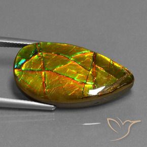 Ammolite Gemstone in 28.6 x 15.4 mm Size for Sale, Ammolite Stone in Multicolor Color