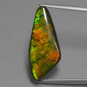 15.14 ct Multicolor Ammolite Gemstone, Ammolite Gem in Fancy Cabochon Shape for Sale.