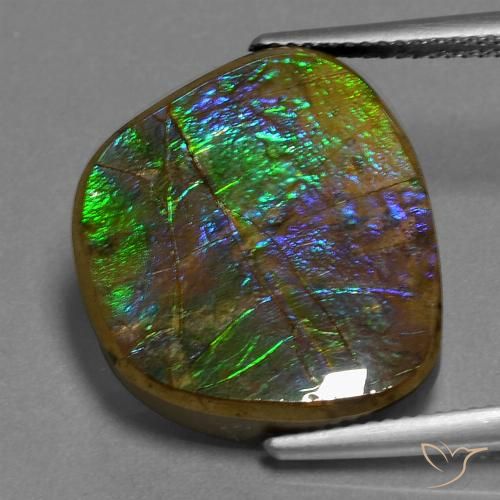 14.96ct Natural Multicolor Ammolite, Fancy, Opaque
