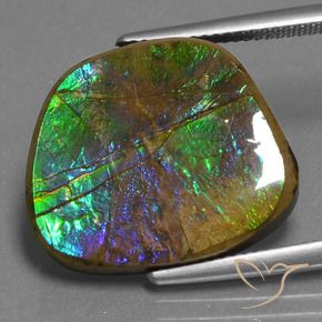 14.96 ct Multicolor Ammolite Stone, Natural Ammolite in Fancy Cabochon Shape for Sale
