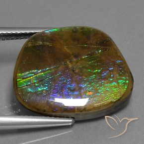 Ammolite Gemstone in 20.4 x 17.6 mm Size for Sale, Ammolite Stone in Multicolor Color