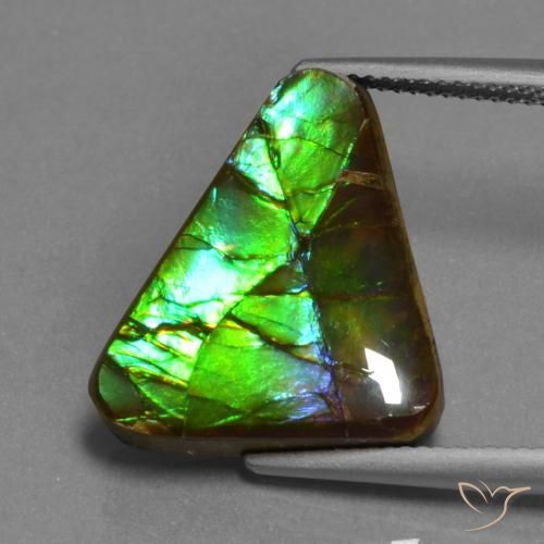 11.30ct Natural Multicolor Ammolite, Trillion, Opaque