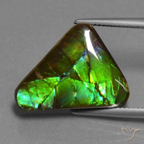 11.30 ct Multicolor Ammolite Stone, Natural Ammolite in Trillion Cabochon Shape for Sale