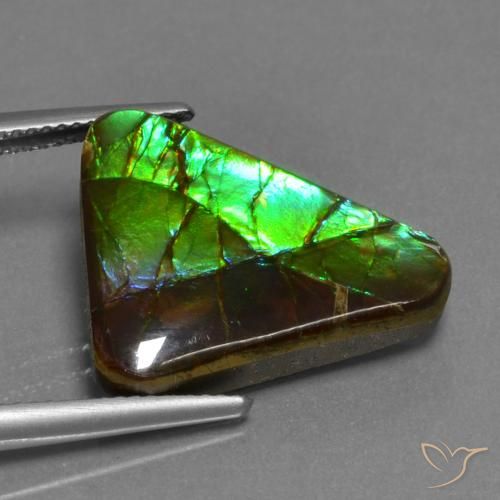 Ammolite Gemstone in 19.5 x 17.2 mm Size for Sale, Ammolite Stone in Multicolor Color
