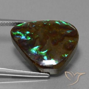 16.77 ct Multicolor Ammolite Stone, Natural Ammolite in Pear Cabochon Shape for Sale
