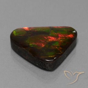 22.44 ct Multicolor Ammolite Stone, Natural Ammolite in Trillion Cabochon Shape for Sale