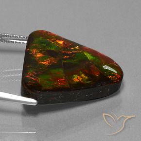 Ammolite Gemstone in 23 x 23.2 mm Size for Sale, Ammolite Stone in Multicolor Color