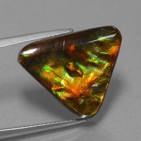 11.38 ct Multicolor Ammolite Gemstone, Ammolite Gem in Trillion Cabochon Shape for Sale.