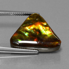 11.38 ct Multicolor Ammolite Stone, Natural Ammolite in Trillion Cabochon Shape for Sale