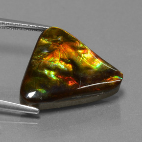 Ammolite Gemstone in 18.1 x 18.2 mm Size for Sale, Ammolite Stone in Multicolor Color