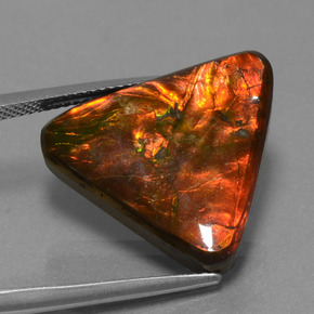 14.28 ct Multicolor Ammolite Stone, Natural Ammolite in Trillion Cabochon Shape for Sale