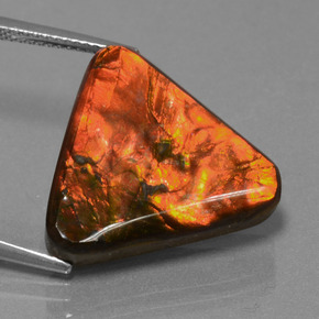 Ammolite Gemstone in 19.4 x 20.6 mm Size for Sale, Ammolite Stone in Multicolor Color