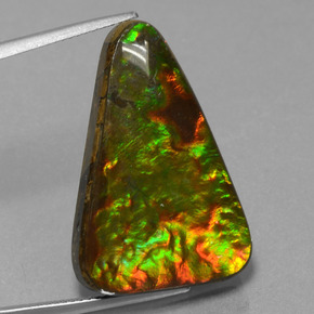 20.75 ct Multicolor Ammolite Gemstone, Ammolite Gem in Trillion Cabochon Shape for Sale.
