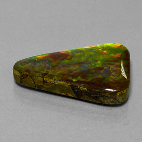 20.75 ct Multicolor Ammolite Stone, Natural Ammolite in Trillion Cabochon Shape for Sale