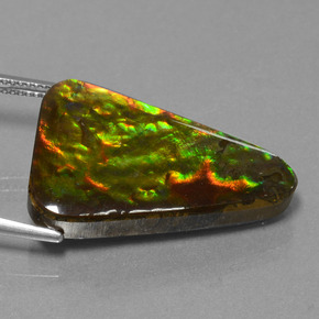 Ammolite Gemstone in 27.6 x 18.7 mm Size for Sale, Ammolite Stone in Multicolor Color