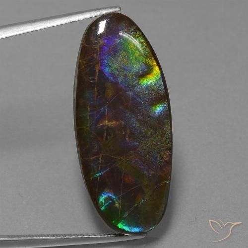22.01ct Natural Multicolor Ammolite, Oval, Opaque