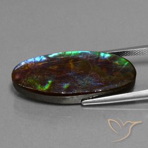 22.01 ct Multicolor Ammolite Stone, Natural Ammolite in Oval Cabochon Shape for Sale