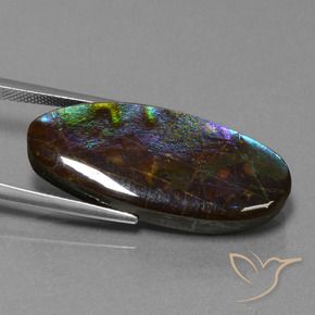 Ammolite Gemstone in 31.7 x 13.7 mm Size for Sale, Ammolite Stone in Multicolor Color