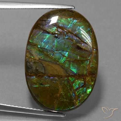 18.60ct Natural Multicolor Ammolite, Oval, Opaque