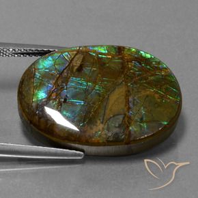 18.60 ct Multicolor Ammolite Stone, Natural Ammolite in Oval Cabochon Shape for Sale